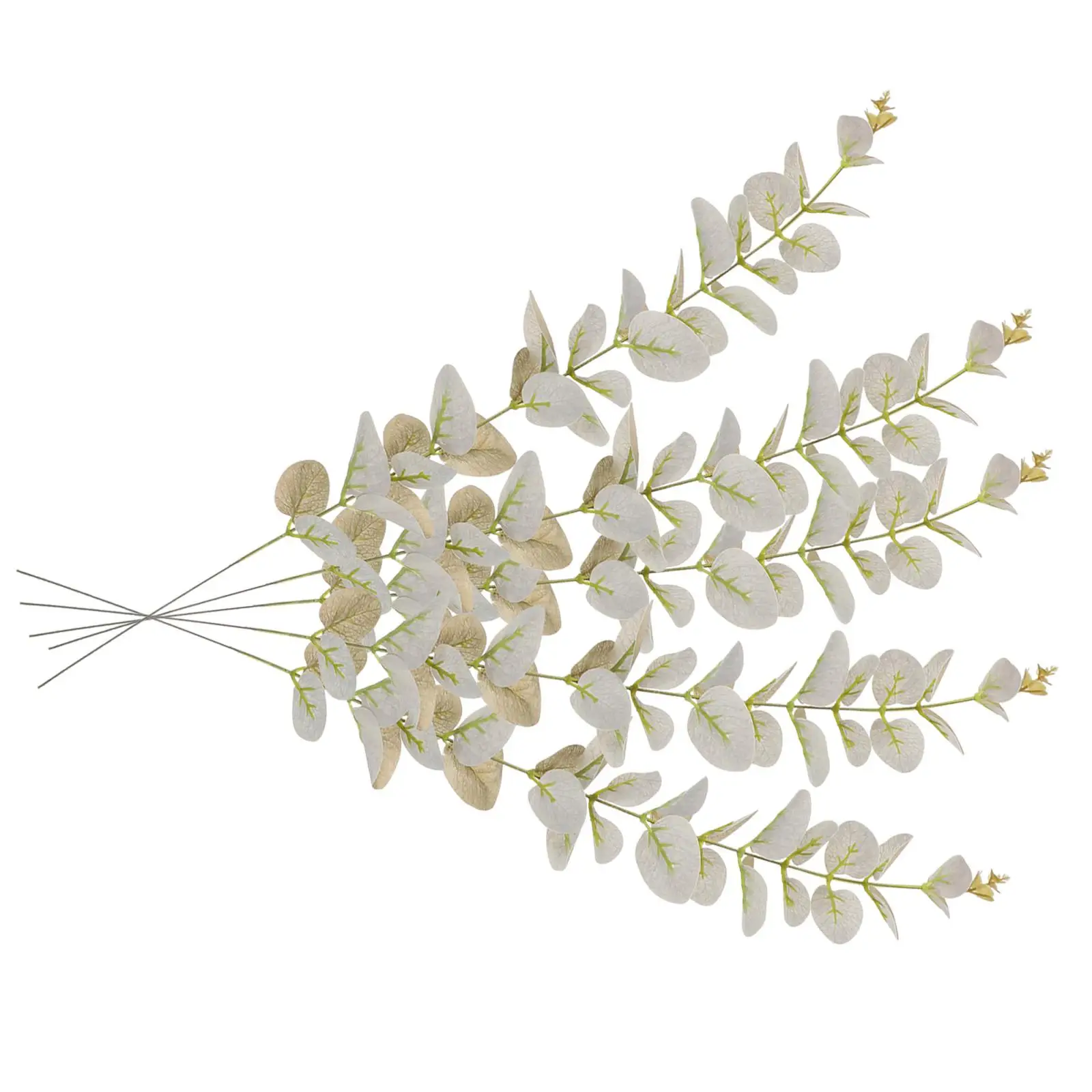 5 Pcs Artificial Golden Zamioculcas Leaves Realistic Silk Flowers Fake Plant Decor Home Office Shop Decoration Green
5 Pcs Artificial Golden Zamioculcas Leaves Realistic Silk Flowers Fake Plant Decor Home Office Shop Decoration Green