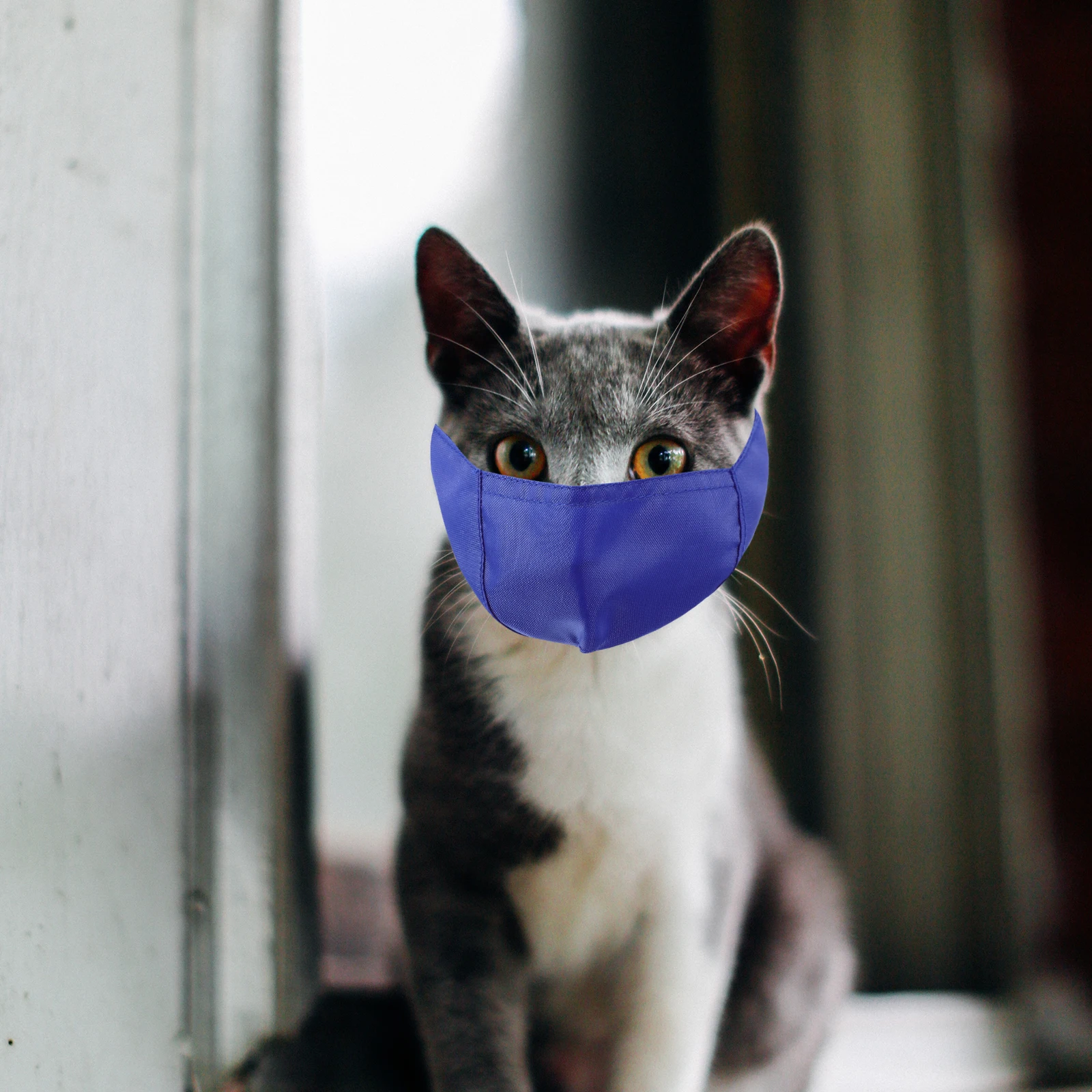 Anti bite Cat Mouth Cover for Injection Bath Beauty Safe Durable Long Term Use Kitten Muzzle Pet Supply Cat Nylon Mask
Anti bite Cat Mouth Cover for Injection Bath Beauty Safe Durable Long Term Use Kitten Muzzle Pet Supply Cat Nylon Mask