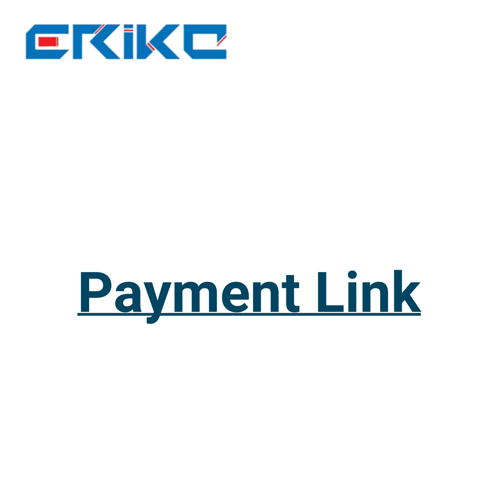 Payment link ERIKC Funda
Payment link ERIKC Funda