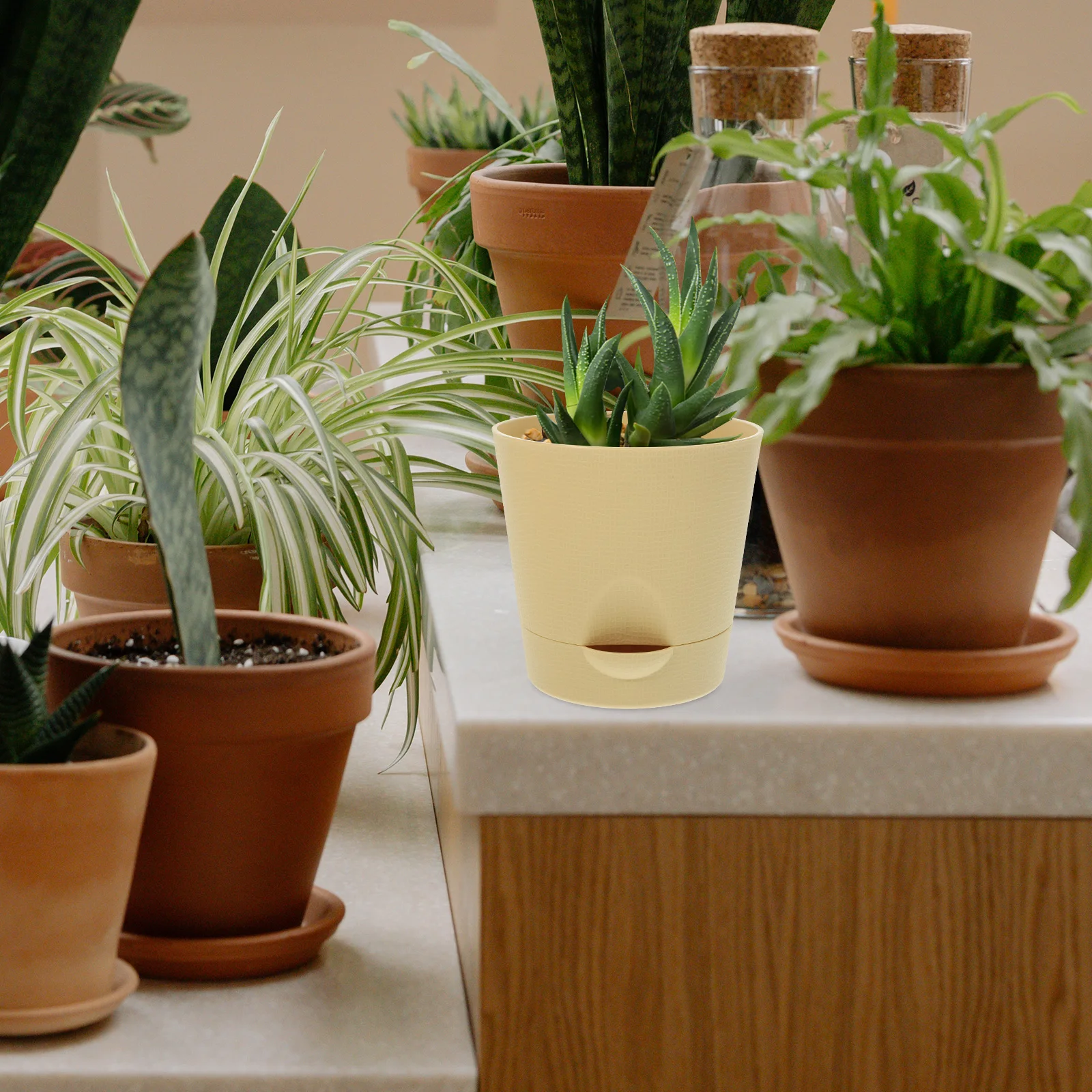 Self Automatic Water Absorbent Flower Pot Plants Planter Indoor Watering Planters
Self Automatic Water Absorbent Flower Pot Plants Planter Indoor Watering Planters