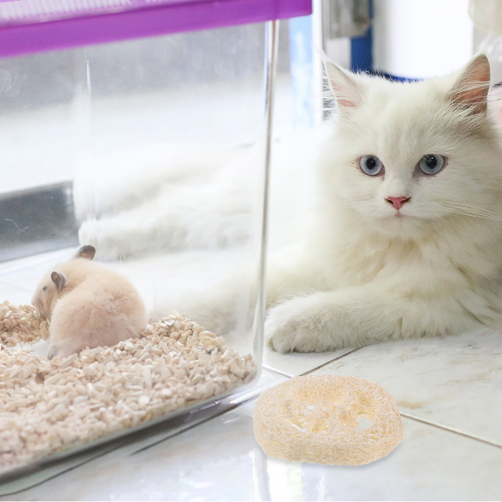 40Pcs Natural Loofah Slices Chew for Hamsters Rabbits Guinea Pigs Rats Small Pets Teeth Cleaning Molar Chewing Enrichment
40Pcs Natural Loofah Slices Chew for Hamsters Rabbits Guinea Pigs Rats Small Pets Teeth Cleaning Molar Chewing Enrichment