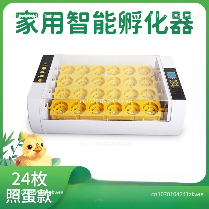 Mini Small Chicken, Duck, Goose, Quail, Bird 24s Fully Automatic Temperature Control Egg Incubator
Mini Small Chicken, Duck, Goose, Quail, Bird 24s Fully Automatic Temperature Control Egg Incubator