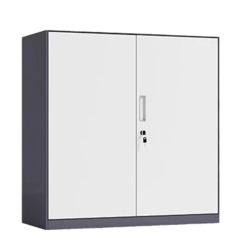 Office Iron File Cabinet Locked Floor-to-ceiling File Storage Cabinet Opposite Data Steel
Office Iron File Cabinet Locked Floor-to-ceiling File Storage Cabinet Opposite Data Steel