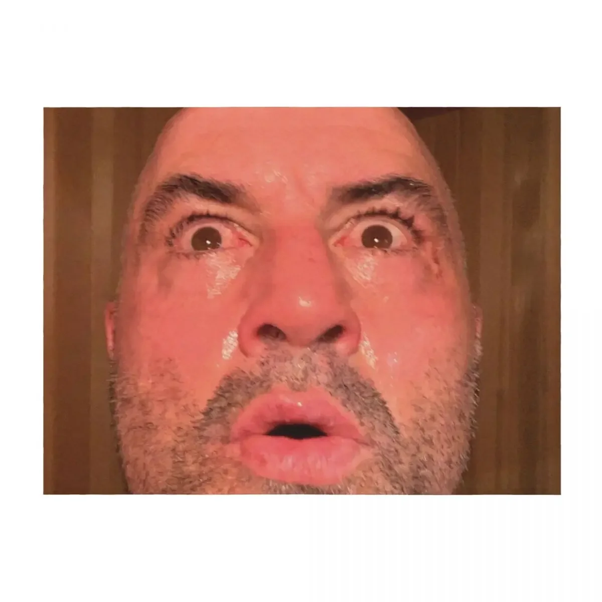 Joe Rogan Sauna Face Throw Blanket valentine gift ideas warm for winter Decorative Sofa Stuffeds Blankets
Joe Rogan Sauna Face Throw Blanket valentine gift ideas warm for winter Decorative Sofa Stuffeds Blankets
