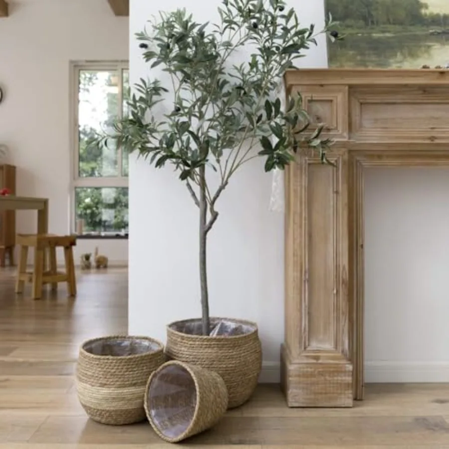 Indoor planters for living room use, natural seagrass material, beige color, breathable and eco-friendly design, 13.5+12+9 inch
Indoor planters for living room use, natural seagrass material, beige color, breathable and eco-friendly design, 13.5+12+9 inch