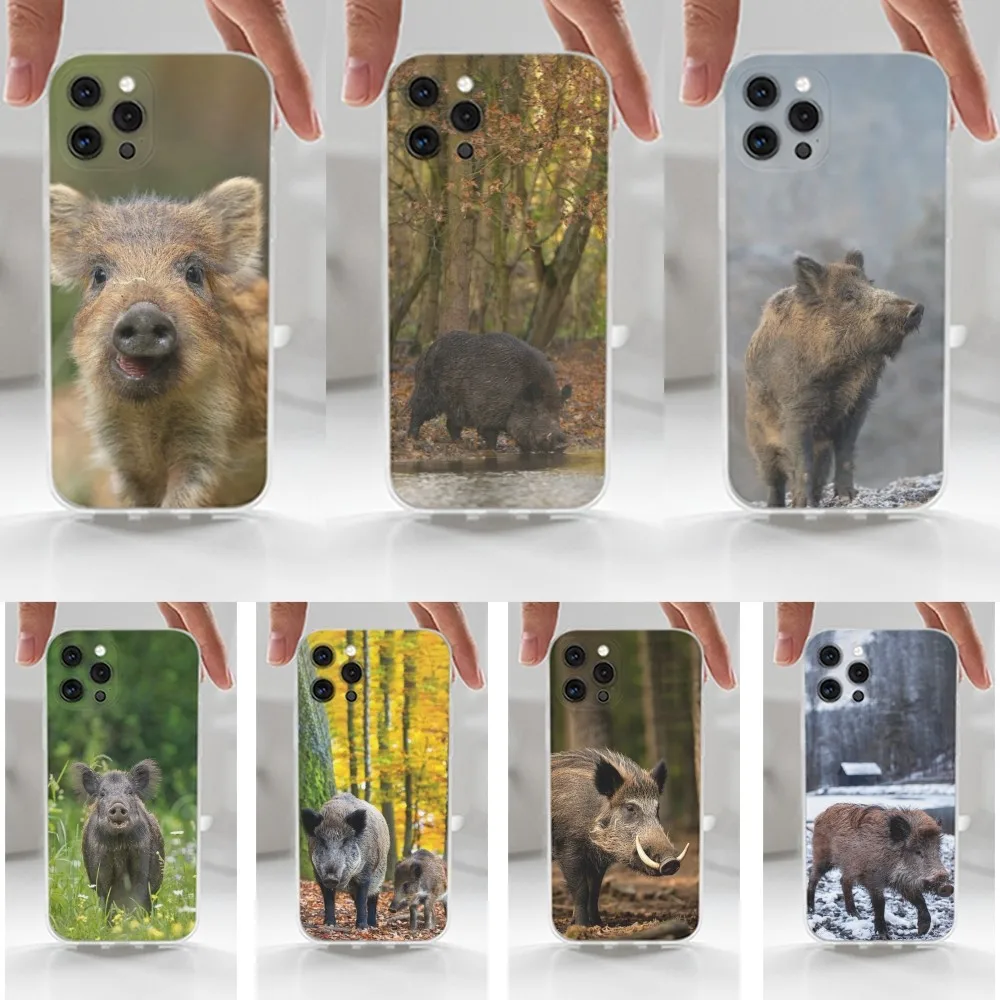 Cute Animal Wild Boar Phone Case For iPhone 16,15,14,13,12,11 Plus,Pro,Max,XR,XS,X,7,8 Plus,SE,Mini,Transparent,Silicone Case
Cute Animal Wild Boar Phone Case For iPhone 16,15,14,13,12,11 Plus,Pro,Max,XR,XS,X,7,8 Plus,SE,Mini,Transparent,Silicone Case