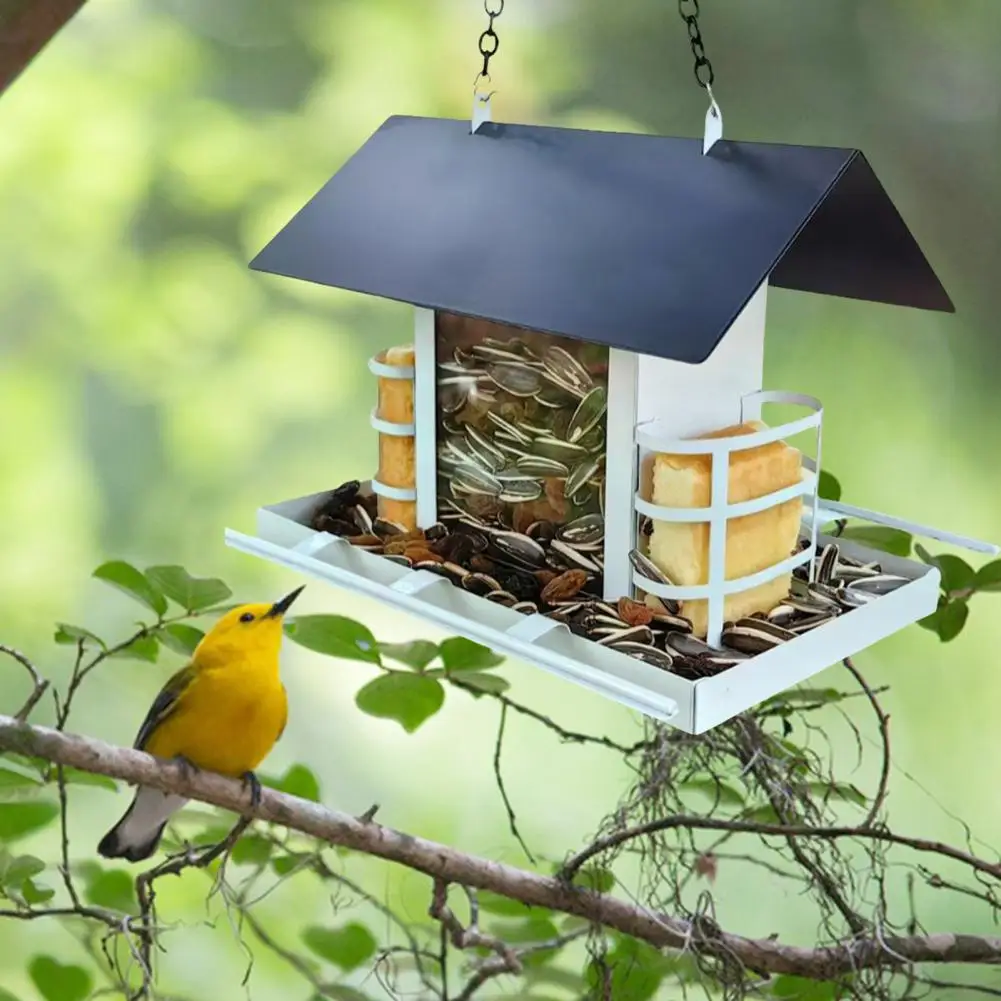 Multiple Birds Feeding Bird Feeder Weatherproof Bird Feeder Durable Metal Bird Feeder with Perch for Outdoor Hanging for Garden
Multiple Birds Feeding Bird Feeder Weatherproof Bird Feeder Durable Metal Bird Feeder with Perch for Outdoor Hanging for Garden