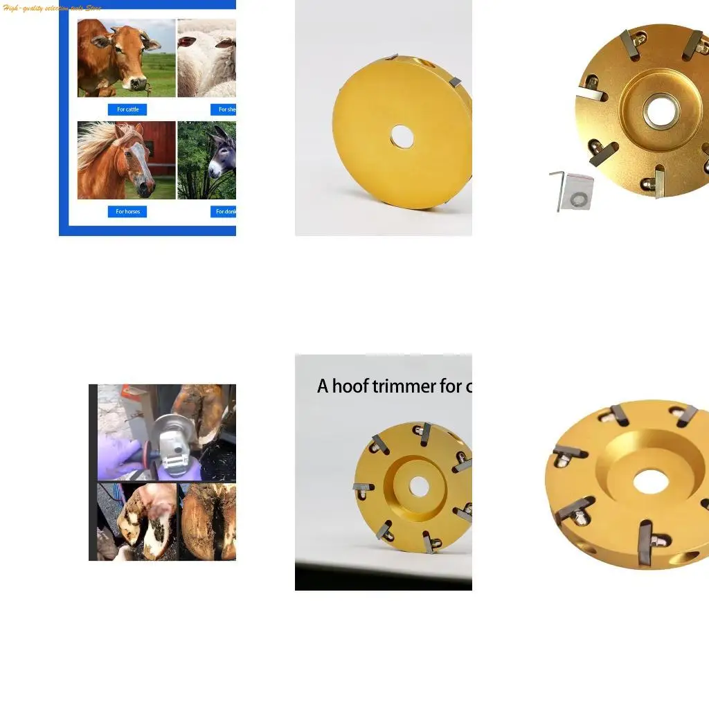 203F Animal Hoof Trimmer Disc Corrosion Resistant Alloy Electric Grinder Attachment
203F Animal Hoof Trimmer Disc Corrosion Resistant Alloy Electric Grinder Attachment
