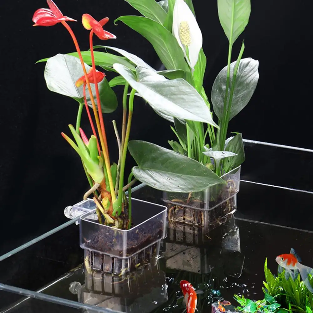 Hydroponic Planting Basket Hanging Aquatic Plant Holder Water Grass Grow Basket for Fish Tank Aquarium Aquascape Decorations
Hydroponic Planting Basket Hanging Aquatic Plant Holder Water Grass Grow Basket for Fish Tank Aquarium Aquascape Decorations