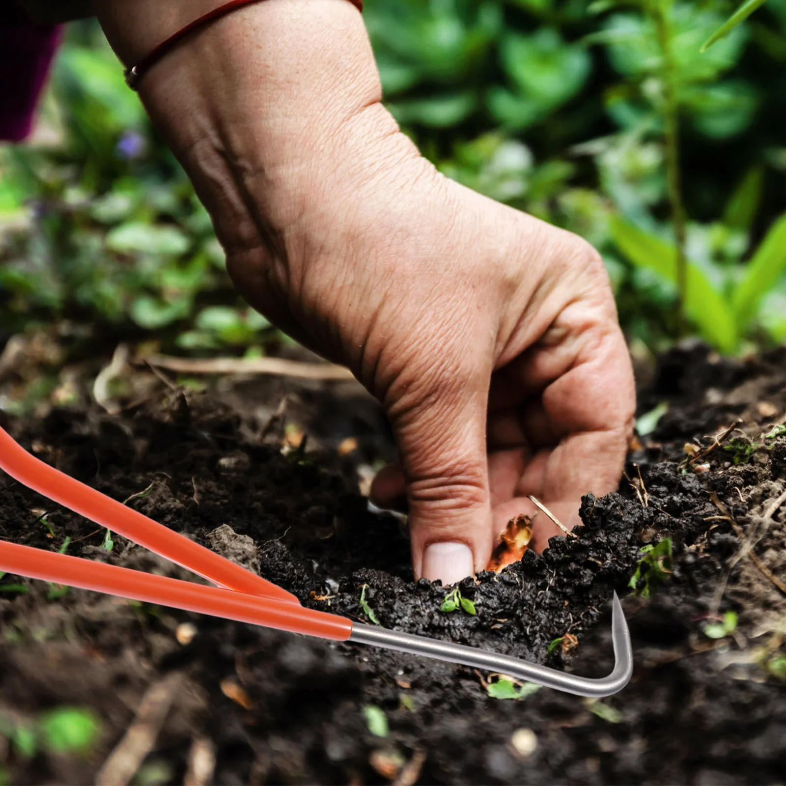 Stainless Extractor Soil Loosener Manual Weeding Tool Garden Shovel Lightweight Rustproof Practical For Everyday Use
Stainless Extractor Soil Loosener Manual Weeding Tool Garden Shovel Lightweight Rustproof Practical For Everyday Use