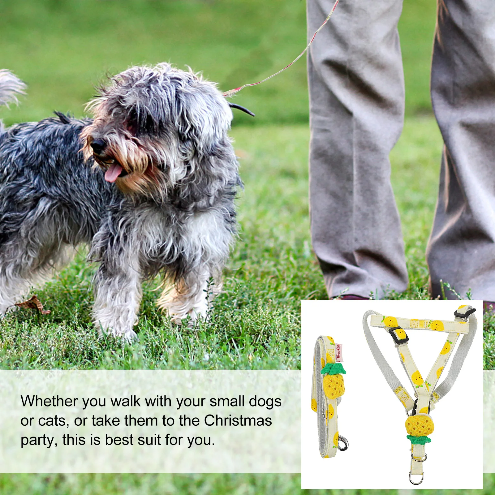 Fruit Print Walking Leash Lightweight Portable Long Pet Supplies Training Traction Rope Outdoor Pet Supplies Puppy
Fruit Print Walking Leash Lightweight Portable Long Pet Supplies Training Traction Rope Outdoor Pet Supplies Puppy