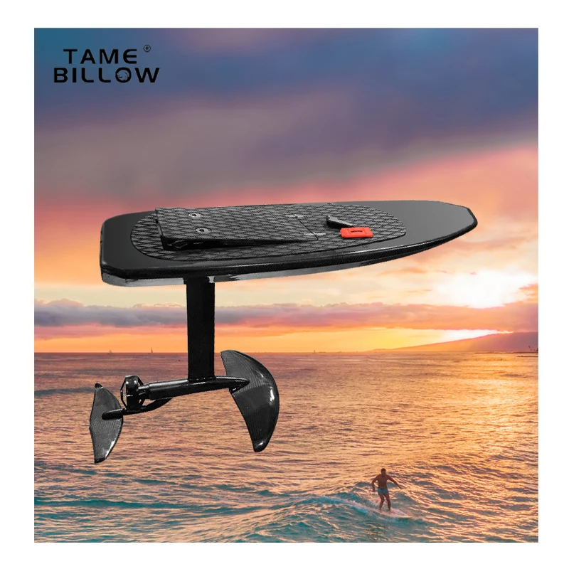 168cm/210cm Wholesale Custom Efoil Surfing 3kw/8kw Hydrofoil E-foil Electric Surfboard With Hydrofoil Kit
168cm/210cm Wholesale Custom Efoil Surfing 3kw/8kw Hydrofoil E-foil Electric Surfboard With Hydrofoil Kit