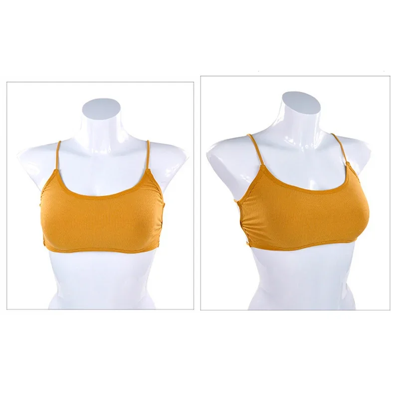 Women Wireless Sports Bra Removable Padded Yoga Bra Elastic Thin Shoulder Strap Beauty Back Fitness Workout Underwear
Women Wireless Sports Bra Removable Padded Yoga Bra Elastic Thin Shoulder Strap Beauty Back Fitness Workout Underwear