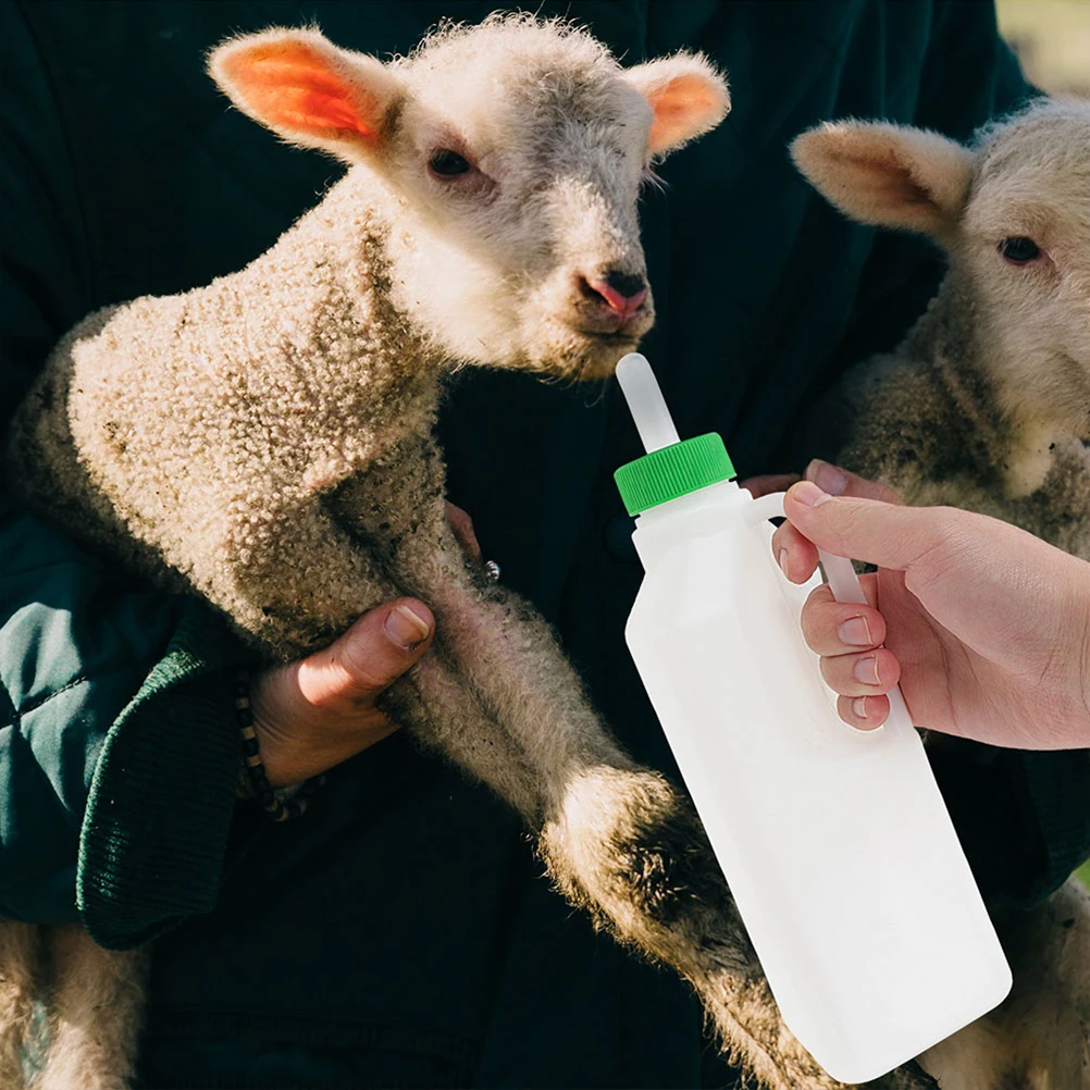 2Pcs Lamb Feeding Bottle Durable Plastic Calf Nursing Large Capacity Goat Bottle Multi function Portable Newborn Baby
2Pcs Lamb Feeding Bottle Durable Plastic Calf Nursing Large Capacity Goat Bottle Multi function Portable Newborn Baby