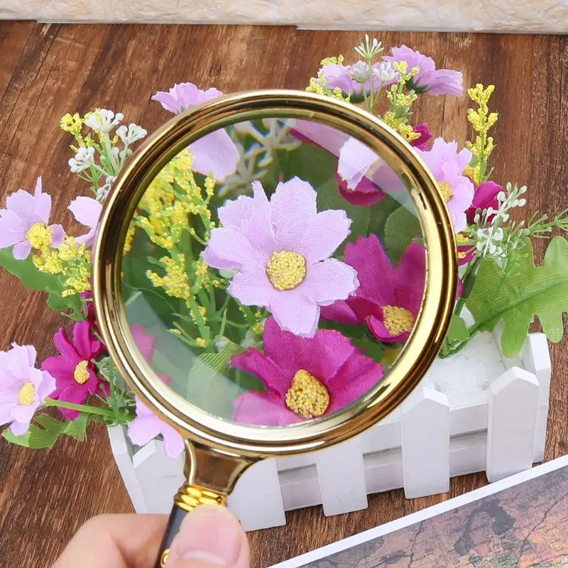 E74E Magnifying Glass 10X Lens Handheld Illuminated Reading for Seniors Read Coins Stamps Map Inspection Macular Degeneration
E74E Magnifying Glass 10X Lens Handheld Illuminated Reading for Seniors Read Coins Stamps Map Inspection Macular Degeneration