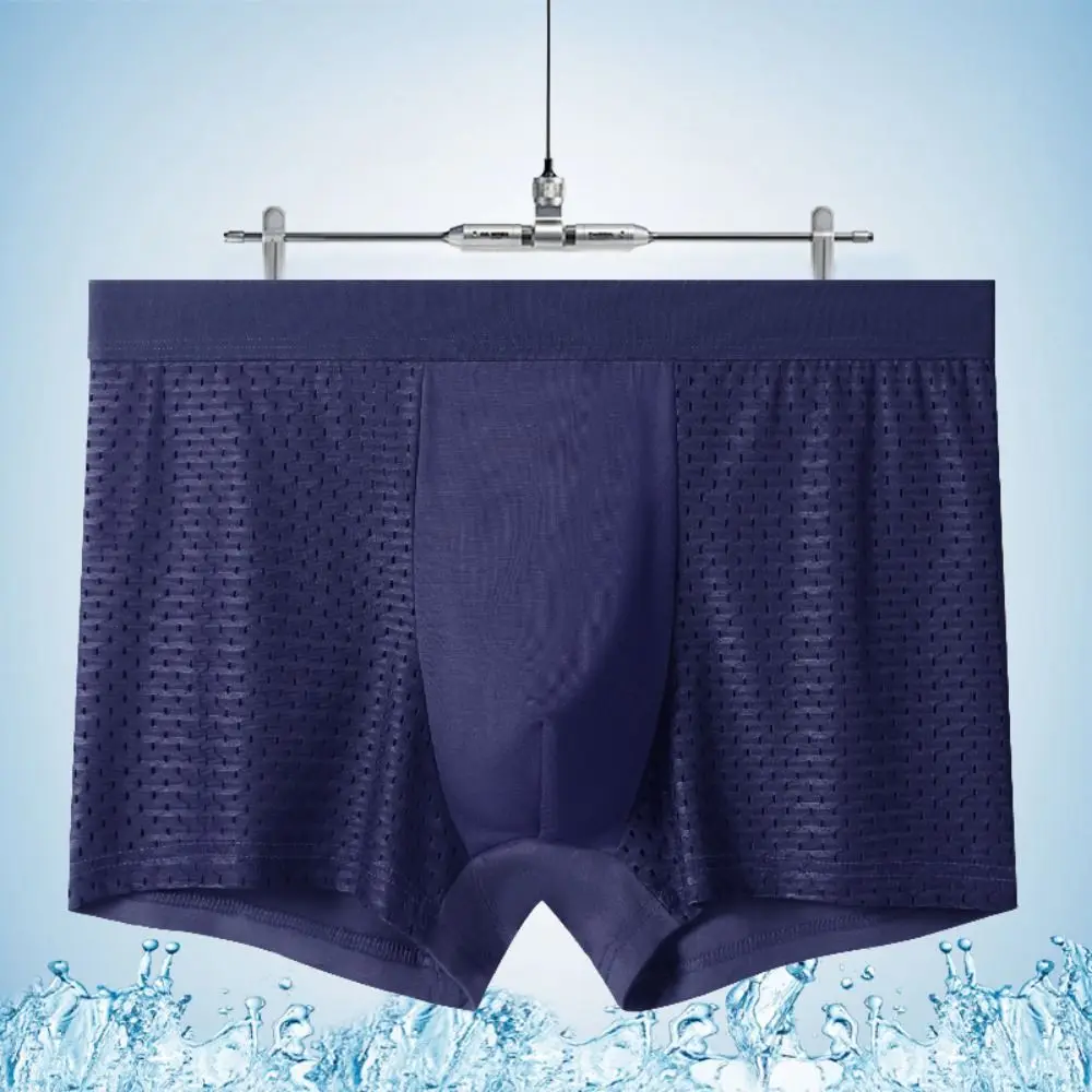 4Pcs Comfortable Modal Men Mesh Boxers Panties Breathable Seamless Boxer Shorts Underpants Hollow Underwear for Men Gifts
4Pcs Comfortable Modal Men Mesh Boxers Panties Breathable Seamless Boxer Shorts Underpants Hollow Underwear for Men Gifts