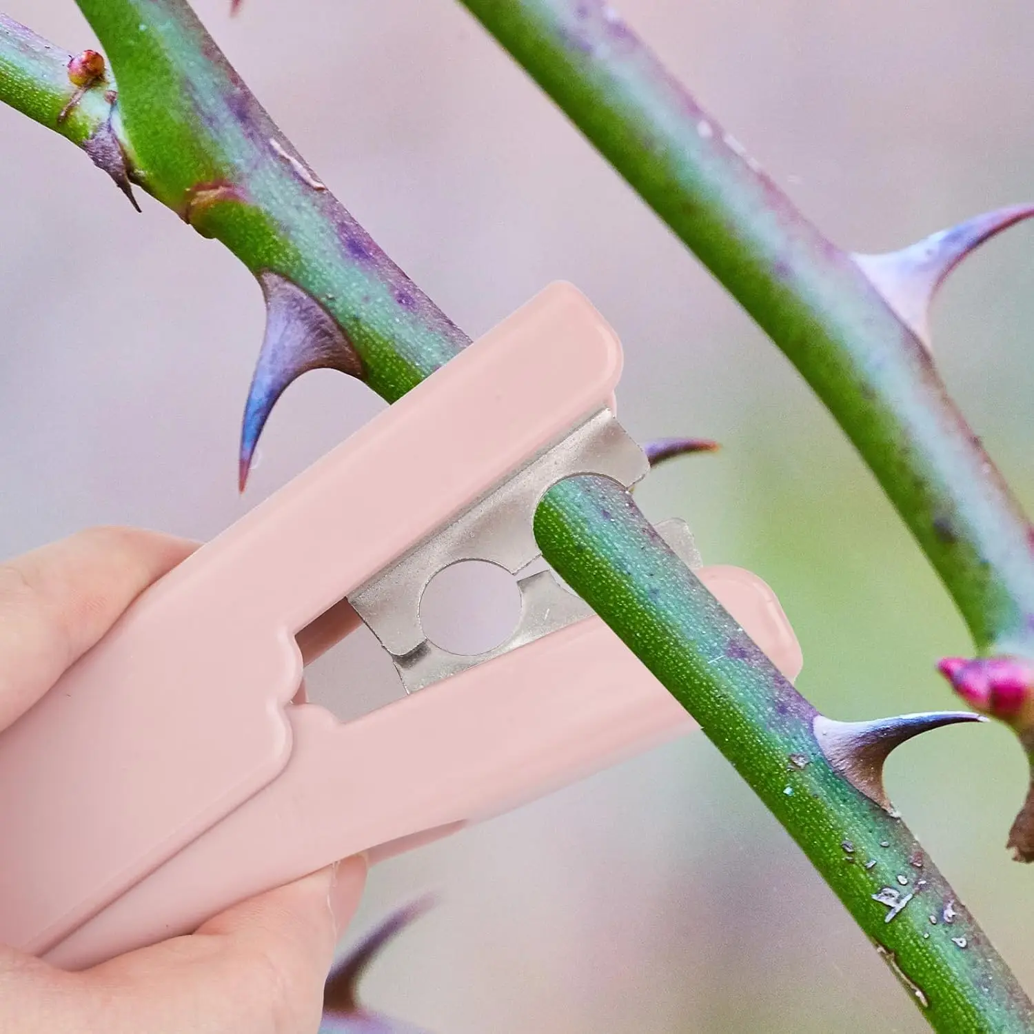 Rose Thorn Stripper Stripping Tool Plastic Flower Stem Remover Rose Leaf Trimming Tool, Home Garden Florist Floral Arrangement
Rose Thorn Stripper Stripping Tool Plastic Flower Stem Remover Rose Leaf Trimming Tool, Home Garden Florist Floral Arrangement