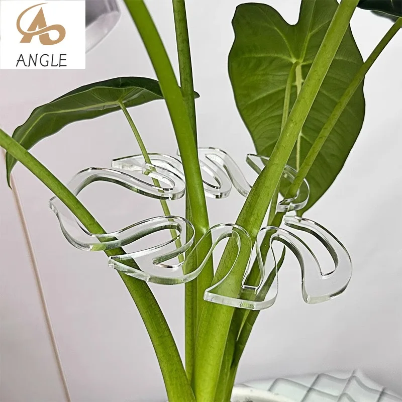 10pcs Monstera Leaf Plant Support Pole | Sturdy Garden Plant Support Pile | Plant Stand for Climbing Indoor Potted Plants
10pcs Monstera Leaf Plant Support Pole | Sturdy Garden Plant Support Pile | Plant Stand for Climbing Indoor Potted Plants