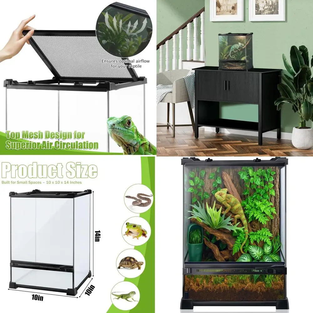 10x10x14 Glass Reptile Enclosure for Small Geckos, Frogs, Lizards, Snakes, Spiders, Turtles - Vertical Rainforest Habitat
10x10x14 Glass Reptile Enclosure for Small Geckos, Frogs, Lizards, Snakes, Spiders, Turtles - Vertical Rainforest Habitat