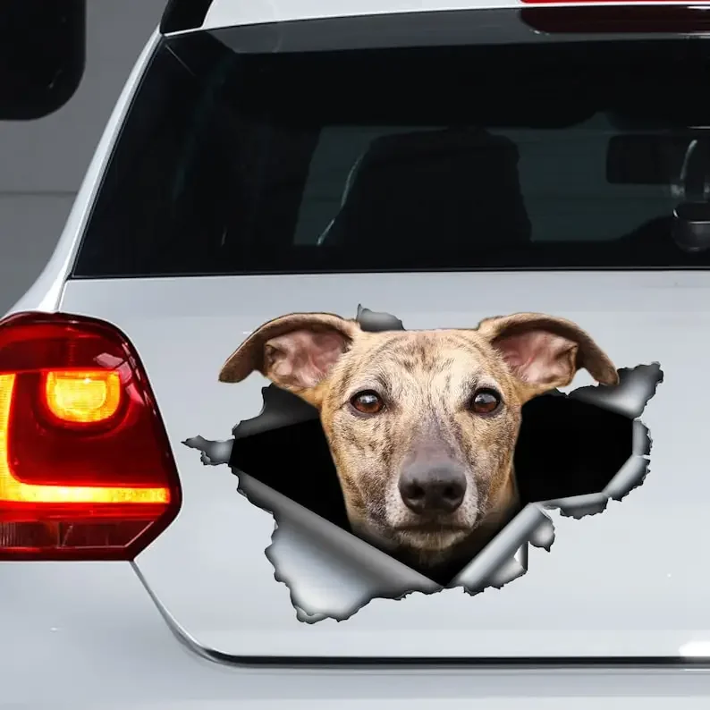 Brindle greyhound car decal , Brindle greyhound magnet, torn metal decal, greyhound sticker
Brindle greyhound car decal , Brindle greyhound magnet, torn metal decal, greyhound sticker