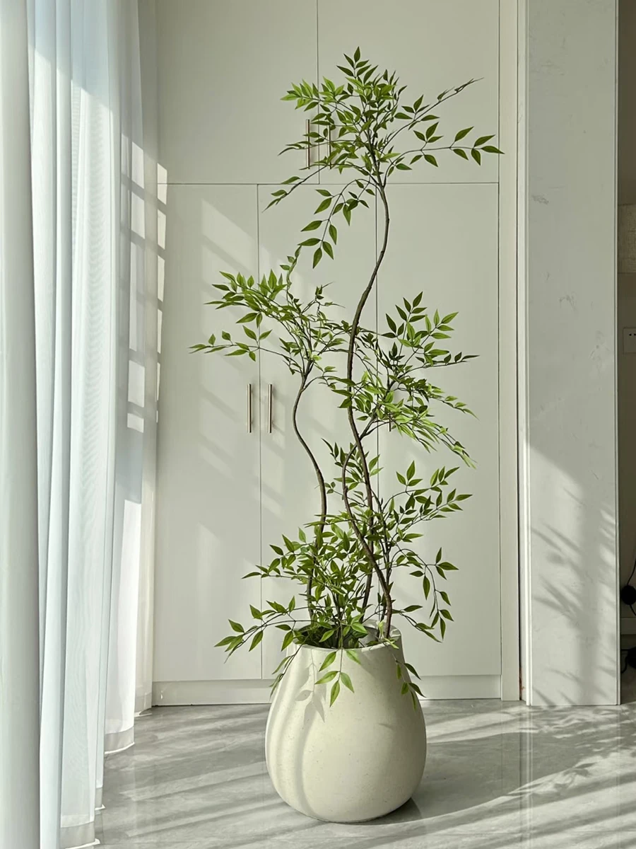 High-Quality Indoor Living Room Floor Standing Fake Green Plant Decoration Soft Decoration Ornament Simulation Zhuyu Bamboo
High-Quality Indoor Living Room Floor Standing Fake Green Plant Decoration Soft Decoration Ornament Simulation Zhuyu Bamboo