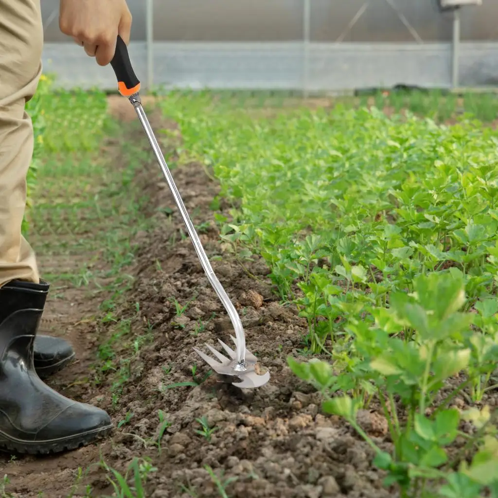 Weeding Hoe Rake Dual Purpose Tool Manual Hand Weed Extractor for Backyard Gardening Tasks
Weeding Hoe Rake Dual Purpose Tool Manual Hand Weed Extractor for Backyard Gardening Tasks