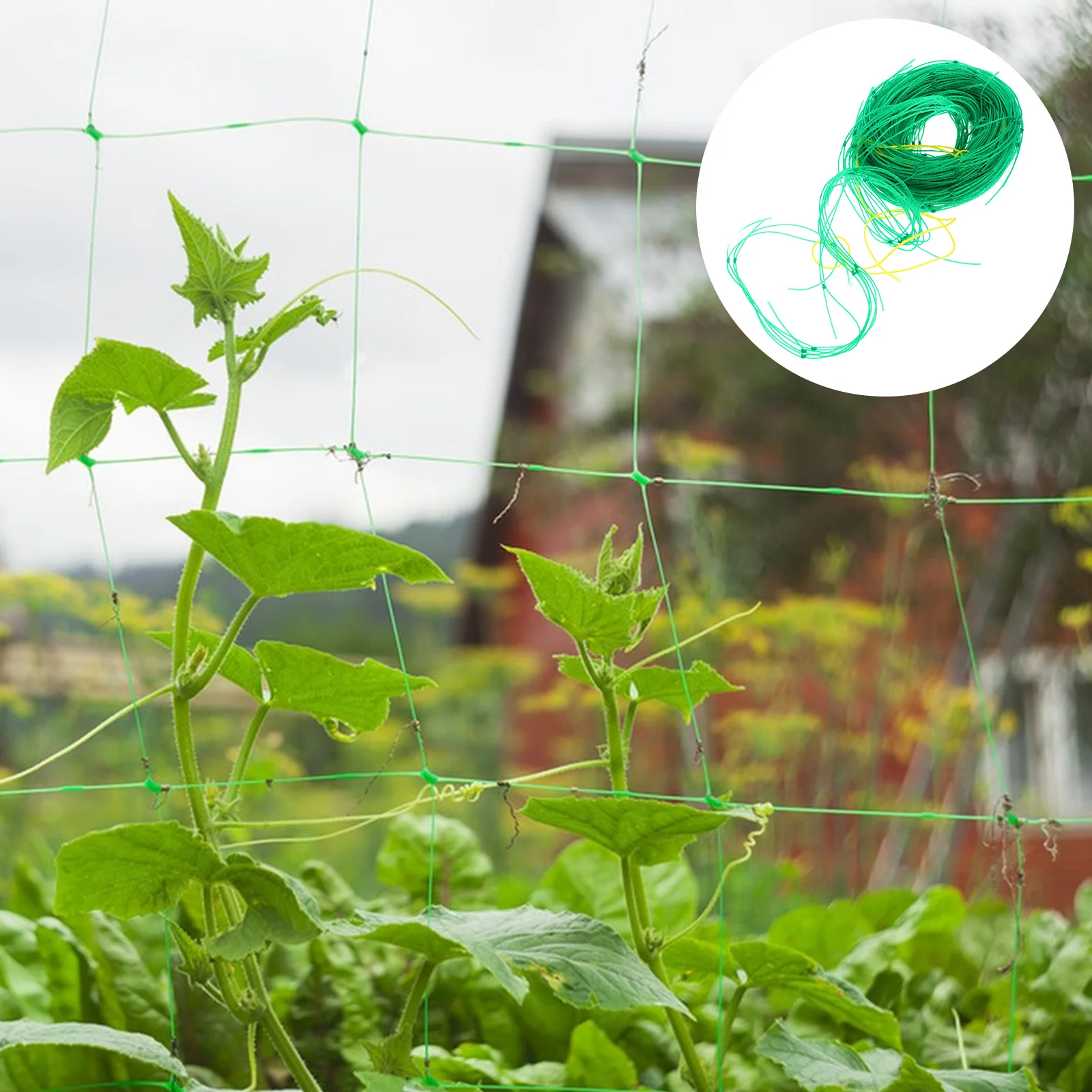 Climbing Net Bracket Garden Netting Plants Frame Lattice Flexible Trellis Green Flower Support
Climbing Net Bracket Garden Netting Plants Frame Lattice Flexible Trellis Green Flower Support