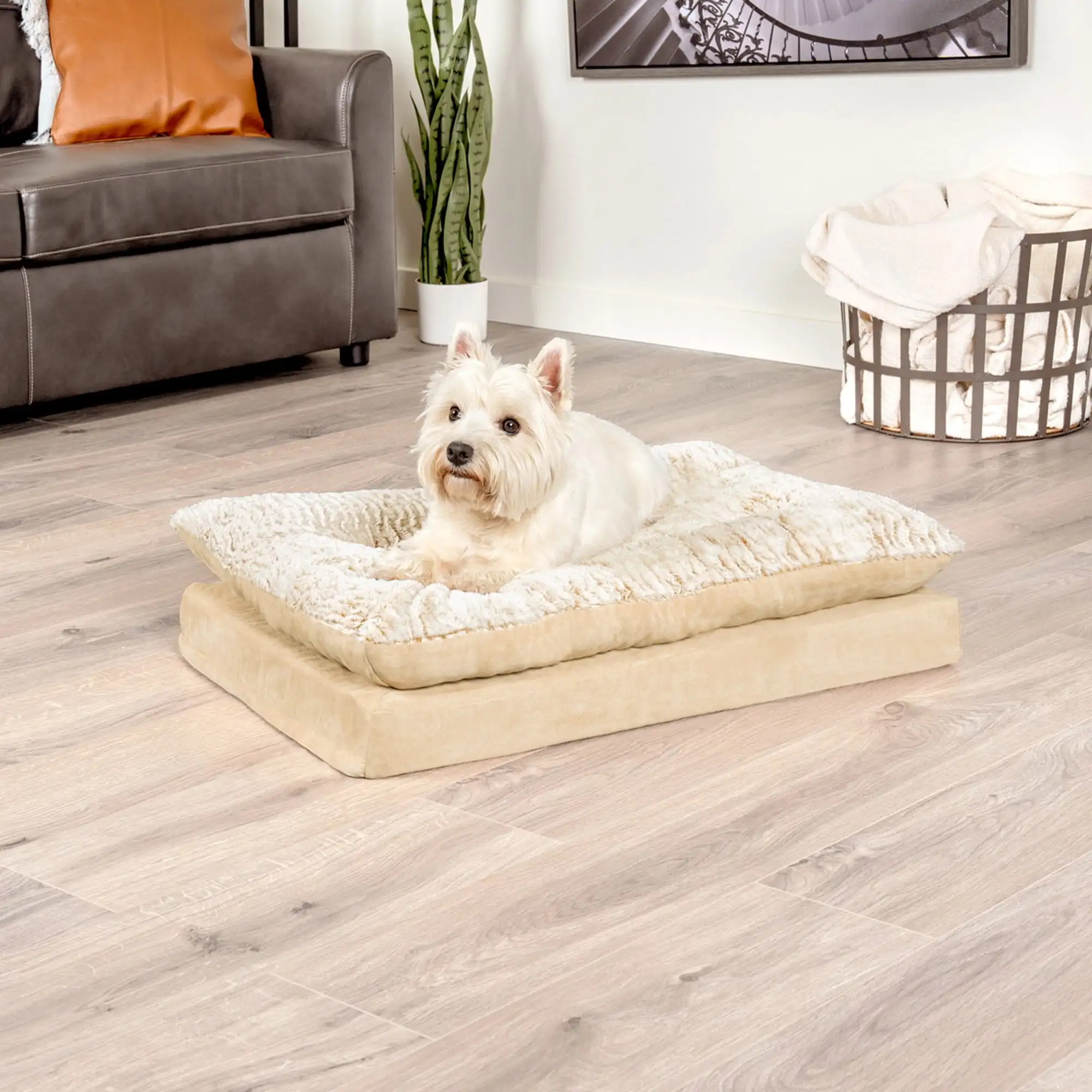 Pet Products Medium Embossed Faux Fur & Suede Pillow Top Mattress Dog & Cat Bed, Taupe
Pet Products Medium Embossed Faux Fur & Suede Pillow Top Mattress Dog & Cat Bed, Taupe