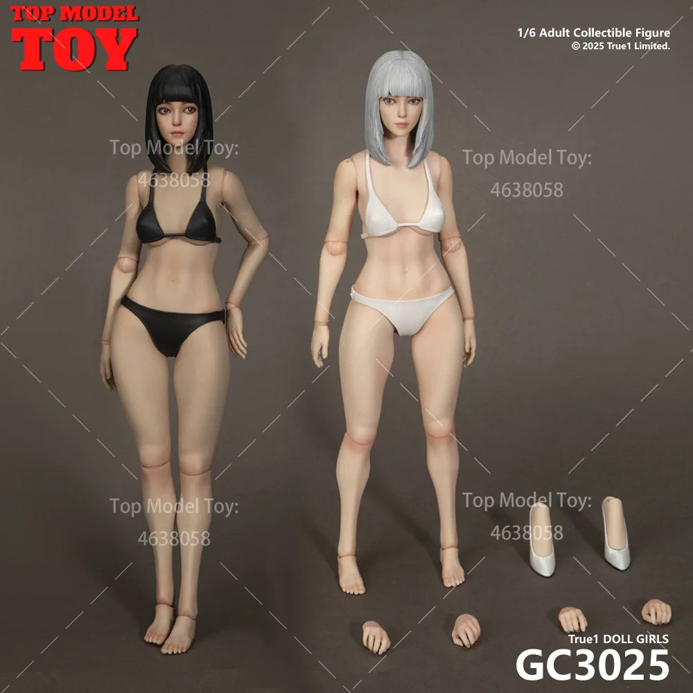 True1Toys GC3025 масштаб 1/6, совместное тело, белая/светло-пшеничная кожа и модель головы, 12 дюймов, женская фигурка солдата, куклы, игрушки
True1Toys GC3025 масштаб 1/6, совместное тело, белая/светло-пшеничная кожа и модель головы, 12 дюймов, женская фигурка солдата, куклы, игрушки