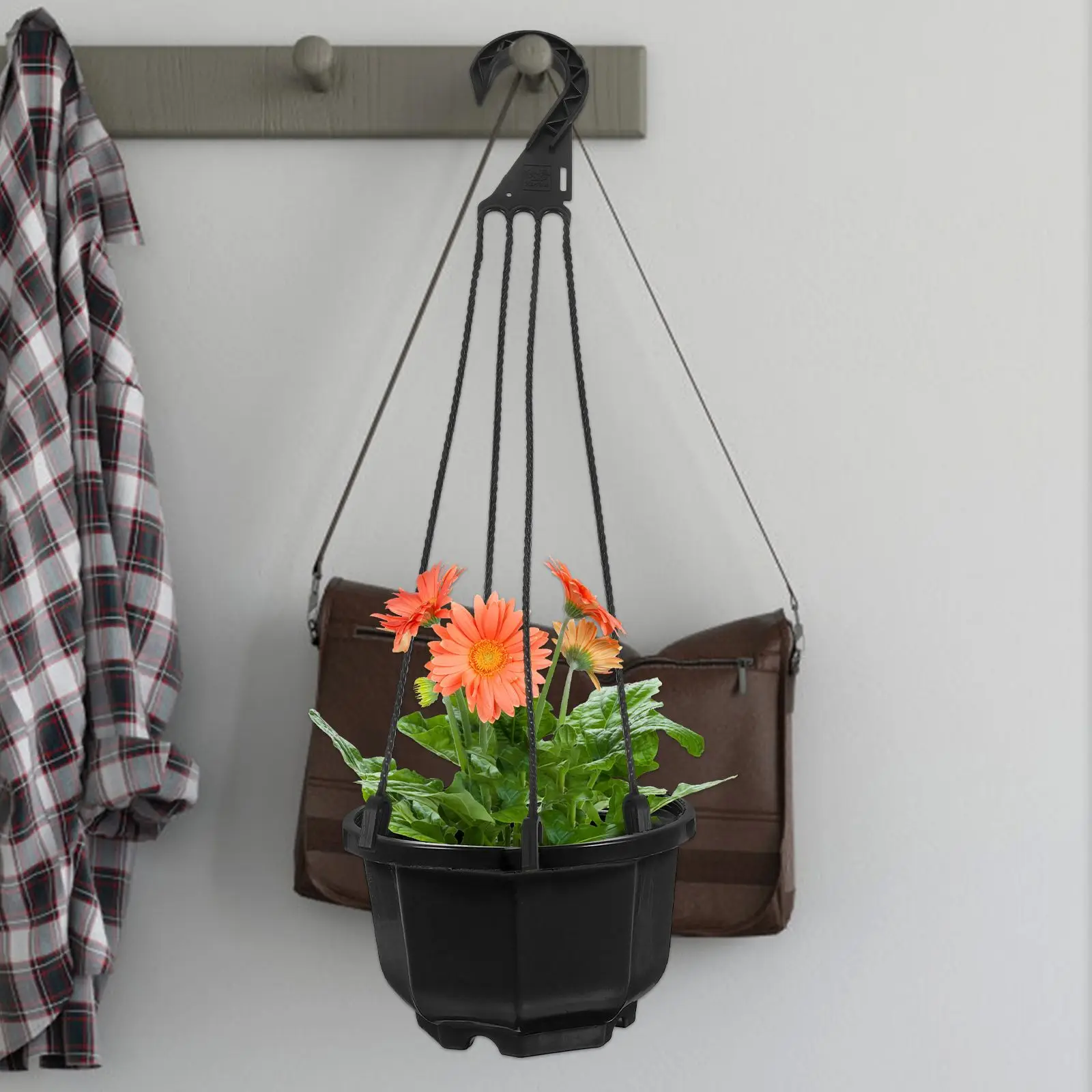 Outdoor Basket Hangers Hanging Basin Hook Plants Hooks For Garden Flower Pot Green Plastic Flowerpot
Outdoor Basket Hangers Hanging Basin Hook Plants Hooks For Garden Flower Pot Green Plastic Flowerpot