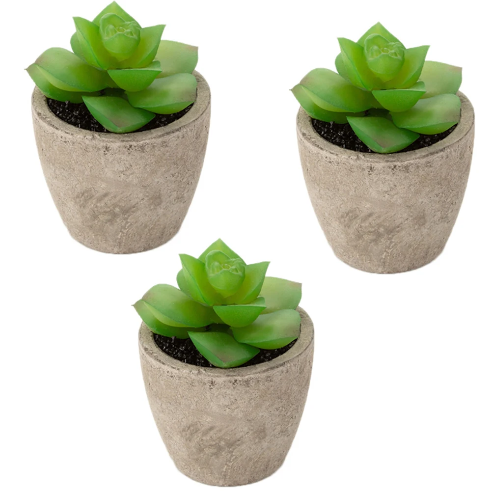 3 Pcs Potted Succulents Artificial House Plants Eucalyptus Simulation Bathroom Decor Indoor
3 Pcs Potted Succulents Artificial House Plants Eucalyptus Simulation Bathroom Decor Indoor