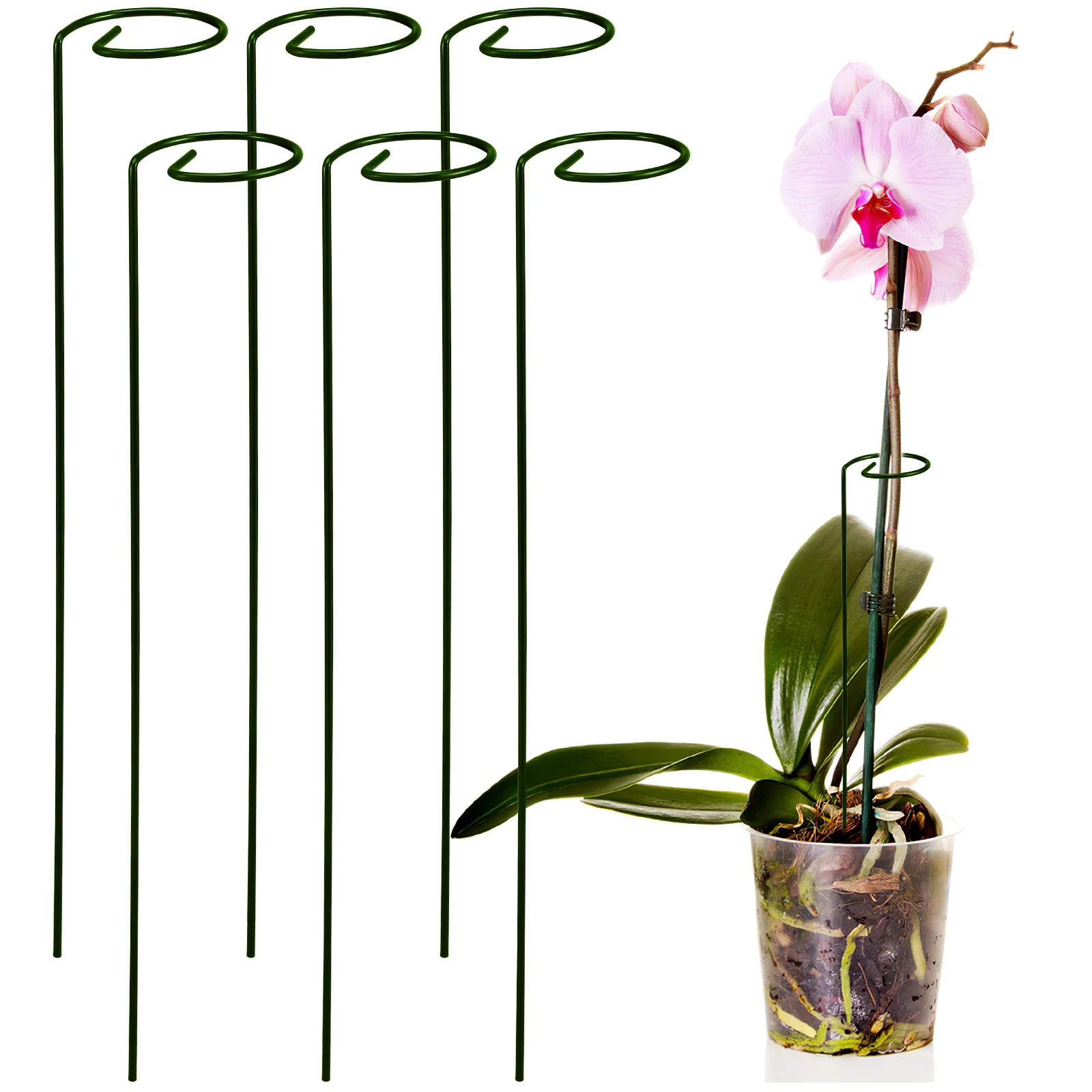 6pcs Plant Support Stakes Metal Orchid Stakes Potted Plants Structures Trellis Climbing Stem Pole Garden Peony Supports Flower
6pcs Plant Support Stakes Metal Orchid Stakes Potted Plants Structures Trellis Climbing Stem Pole Garden Peony Supports Flower