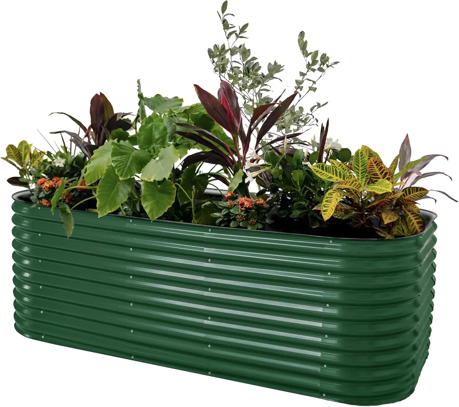 32" Extra Tall Raised Garden Bed Kits, 10 in 1 Modular Raised Planter Box for Vegetables Flowers Fruits Oval Metal Raised Garden
32" Extra Tall Raised Garden Bed Kits, 10 in 1 Modular Raised Planter Box for Vegetables Flowers Fruits Oval Metal Raised Garden