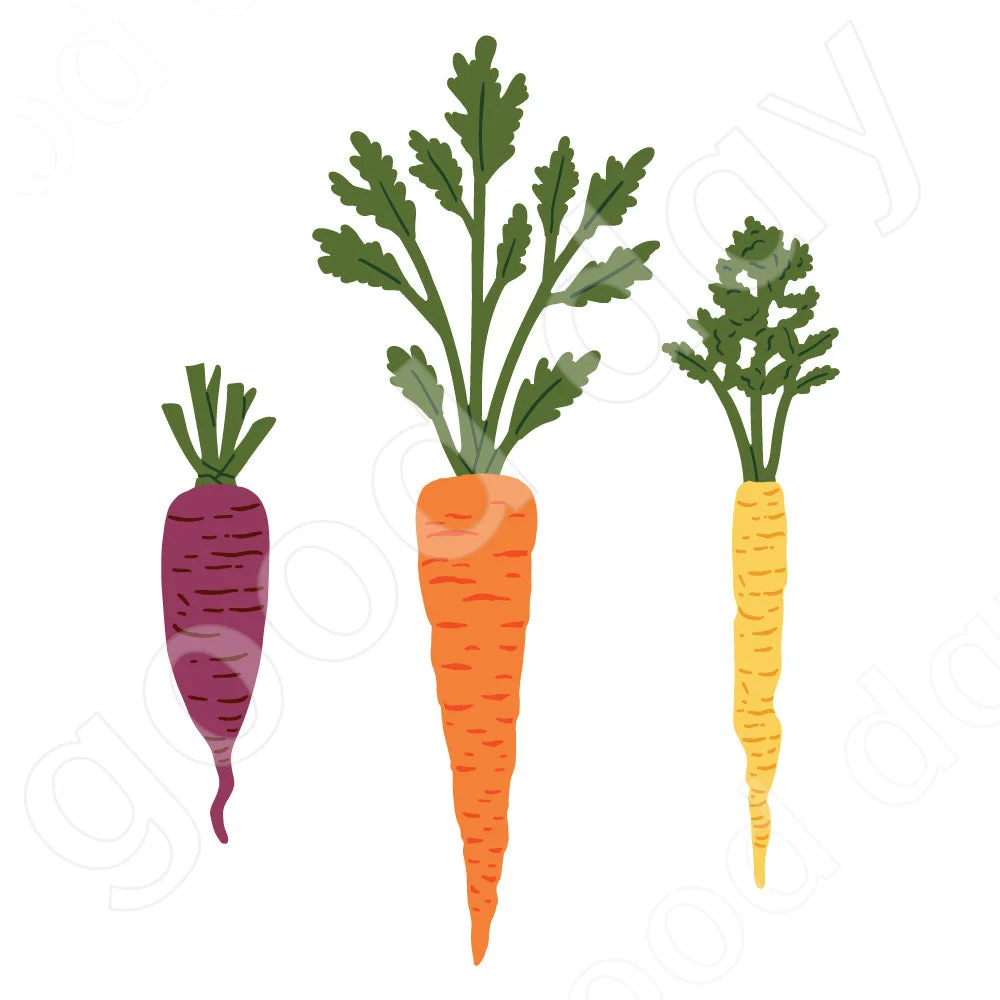 2023 New Arrival Lovely Layers: Carrots Metal Cutting Dies Scrapbook Diary Decoration Embossing Template Diy Card Handmade
2023 New Arrival Lovely Layers: Carrots Metal Cutting Dies Scrapbook Diary Decoration Embossing Template Diy Card Handmade