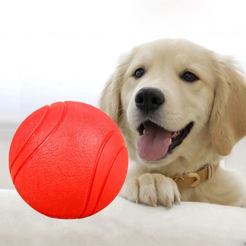 Dog Toy Bouncy Ball Bite Resistant Rubber Balls Chewing Toys Outdoor Throwing Retrieve Dogs Interactive Training Pets Supplies
Dog Toy Bouncy Ball Bite Resistant Rubber Balls Chewing Toys Outdoor Throwing Retrieve Dogs Interactive Training Pets Supplies