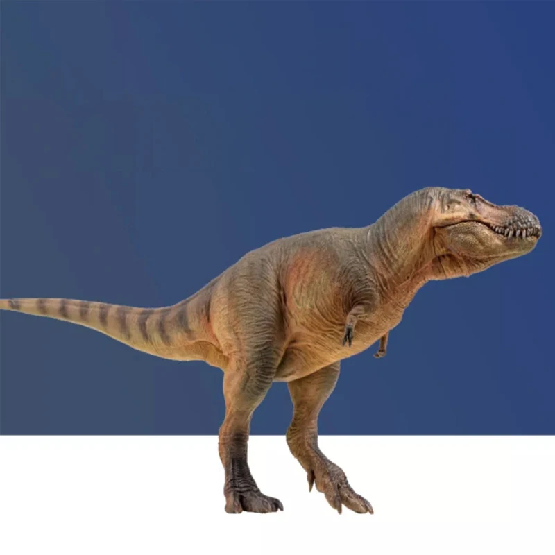 New Zhucheng Tyrannosaurus Rex Lu Xiong Dinosaur King Growth Companion Model 58 Handmade Toy Desktop Ornament Collection Gift
New Zhucheng Tyrannosaurus Rex Lu Xiong Dinosaur King Growth Companion Model 58 Handmade Toy Desktop Ornament Collection Gift