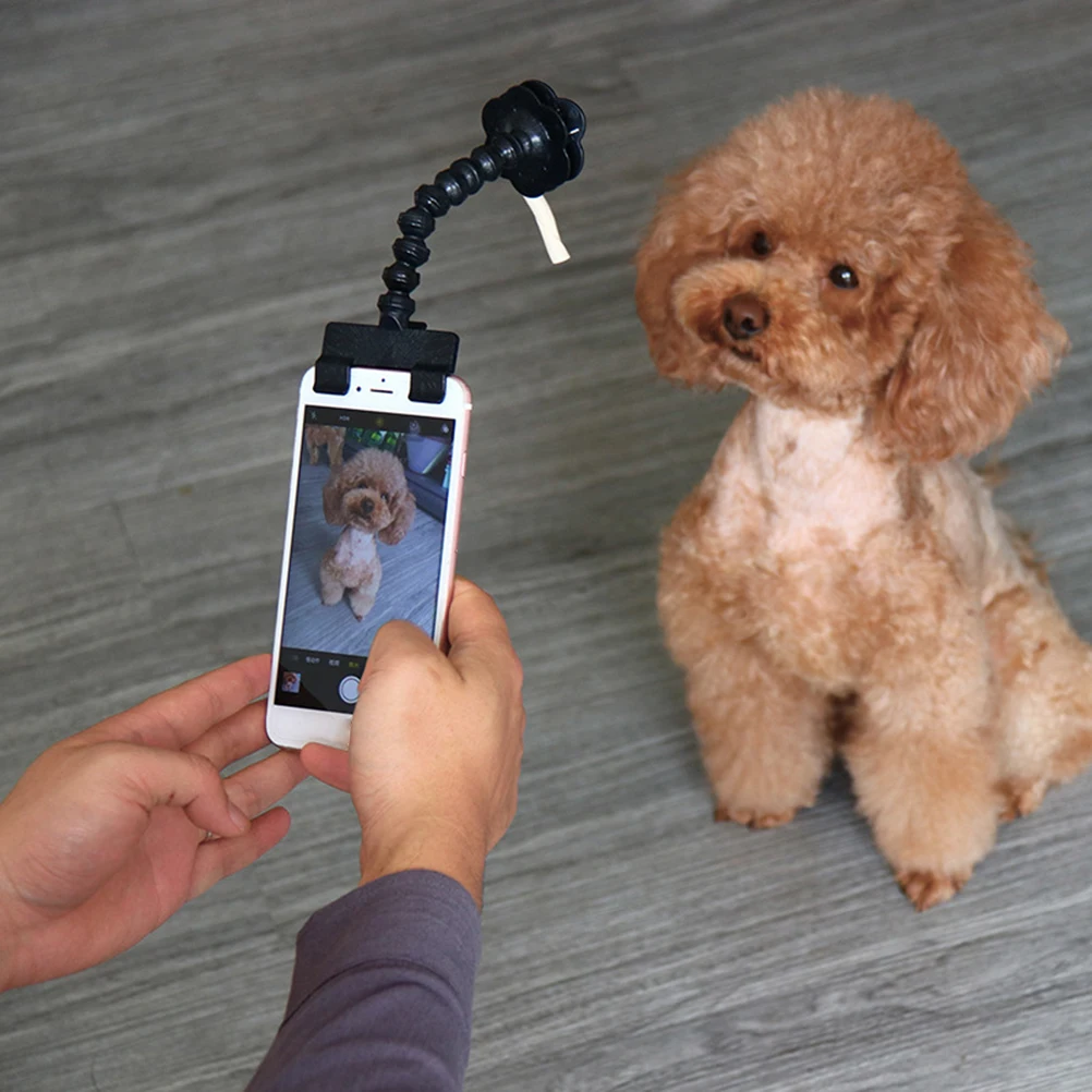Compact 14.6Cm Selfie Stick No Charging Required Easy Carry Phone Holder For Cats Dogs Black Plastic Photo Tool Monopod Portable
Compact 14.6Cm Selfie Stick No Charging Required Easy Carry Phone Holder For Cats Dogs Black Plastic Photo Tool Monopod Portable