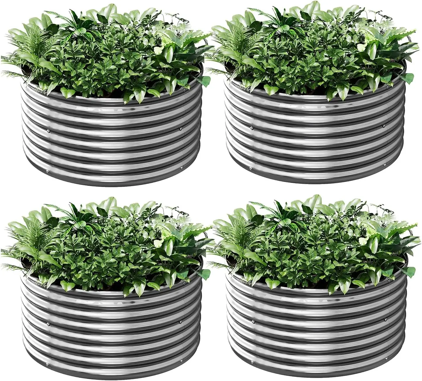 4-Pack 2FT Round Galvanized Raised Garden Beds for Outdoor Vegetables, Flowers & Herbs
4-Pack 2FT Round Galvanized Raised Garden Beds for Outdoor Vegetables, Flowers & Herbs