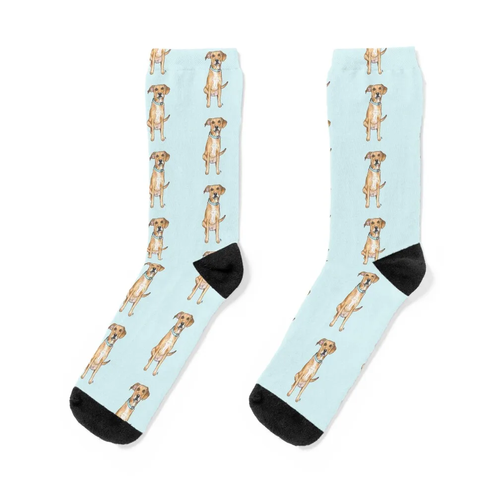Tan Beagle Mix Socks Stockings compression happy Christmas halloween Socks Male Women's
Tan Beagle Mix Socks Stockings compression happy Christmas halloween Socks Male Women's