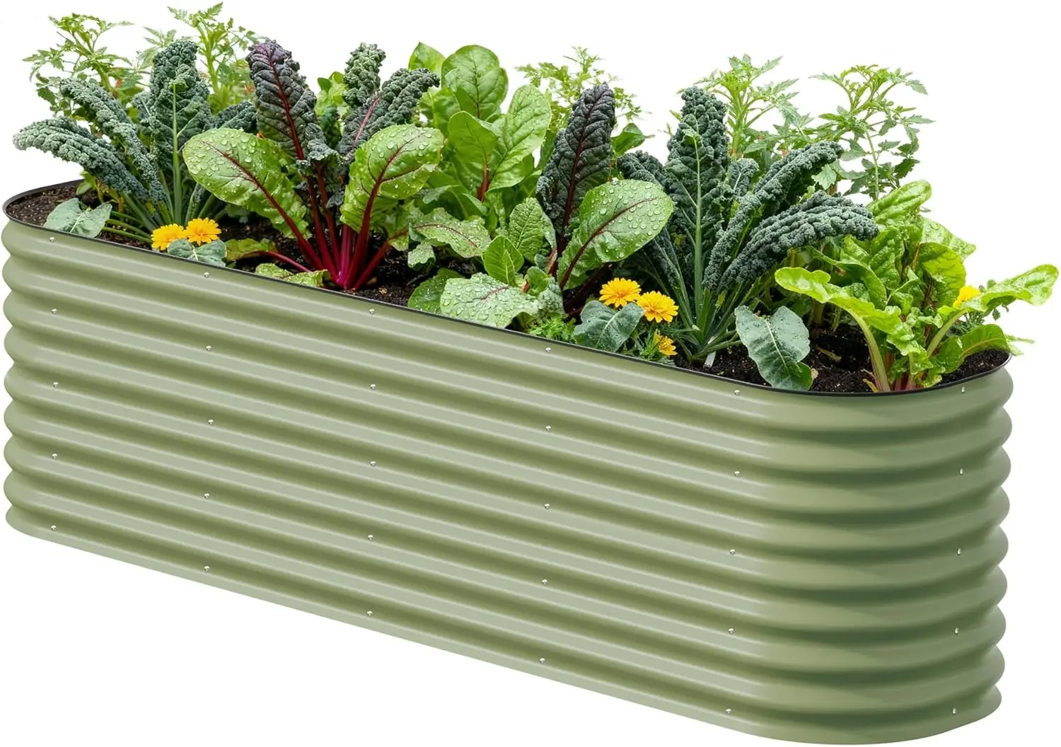 Vego garden 26" Extra Tall Raised Garden Bed Kits, 9 in 1 Modular Raised Planter Box for Vegetables Flowers Fruits Oval
Vego garden 26" Extra Tall Raised Garden Bed Kits, 9 in 1 Modular Raised Planter Box for Vegetables Flowers Fruits Oval