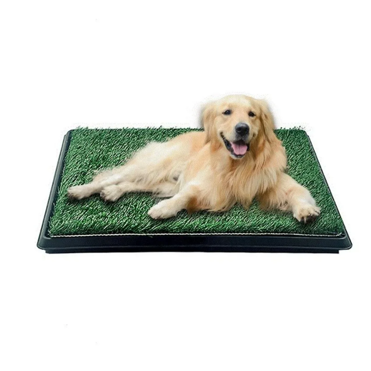 Good Quality Indoor Outdoor Artificial Grass Potty Training Tray Dog Potty Toilet
Good Quality Indoor Outdoor Artificial Grass Potty Training Tray Dog Potty Toilet