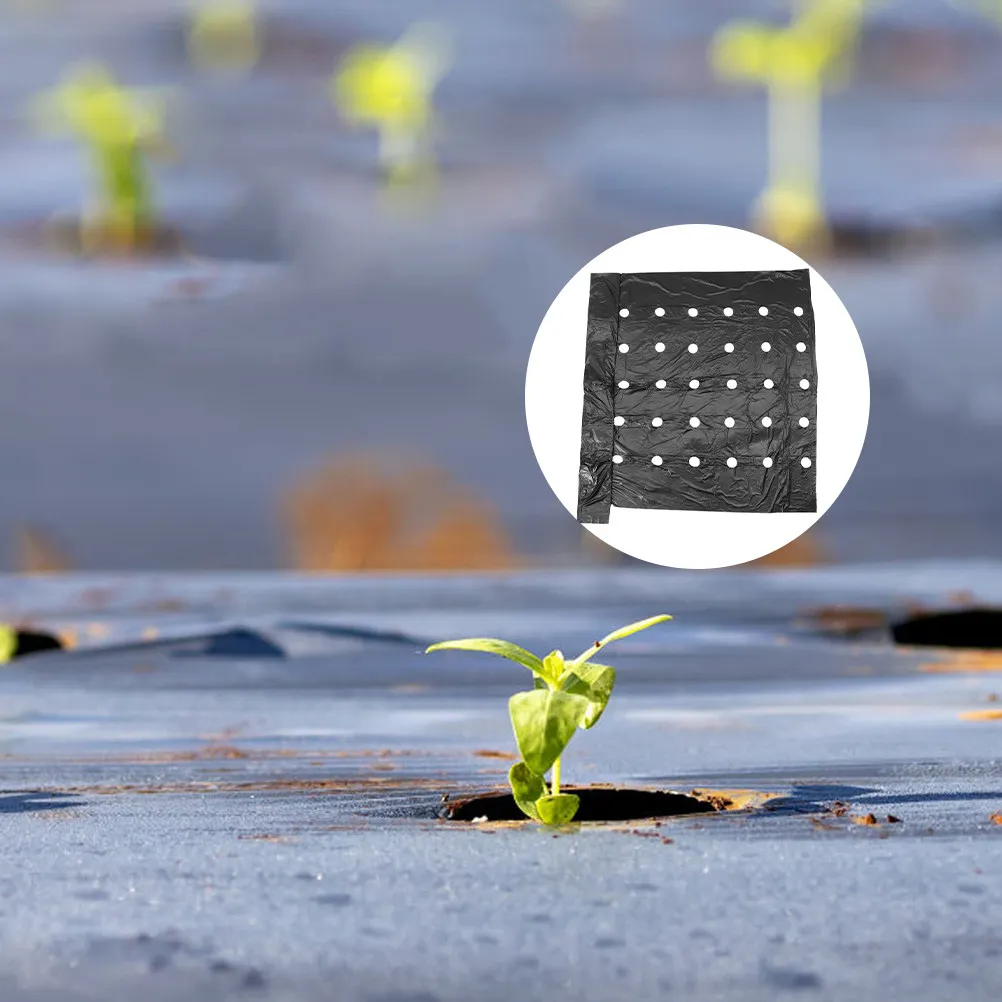 2Pcs Pe Crop Thermal Insulation Mulching Film Perforated Plastic Soil Cover Agricultural Mulch Film Farm Soil Mulch
2Pcs Pe Crop Thermal Insulation Mulching Film Perforated Plastic Soil Cover Agricultural Mulch Film Farm Soil Mulch