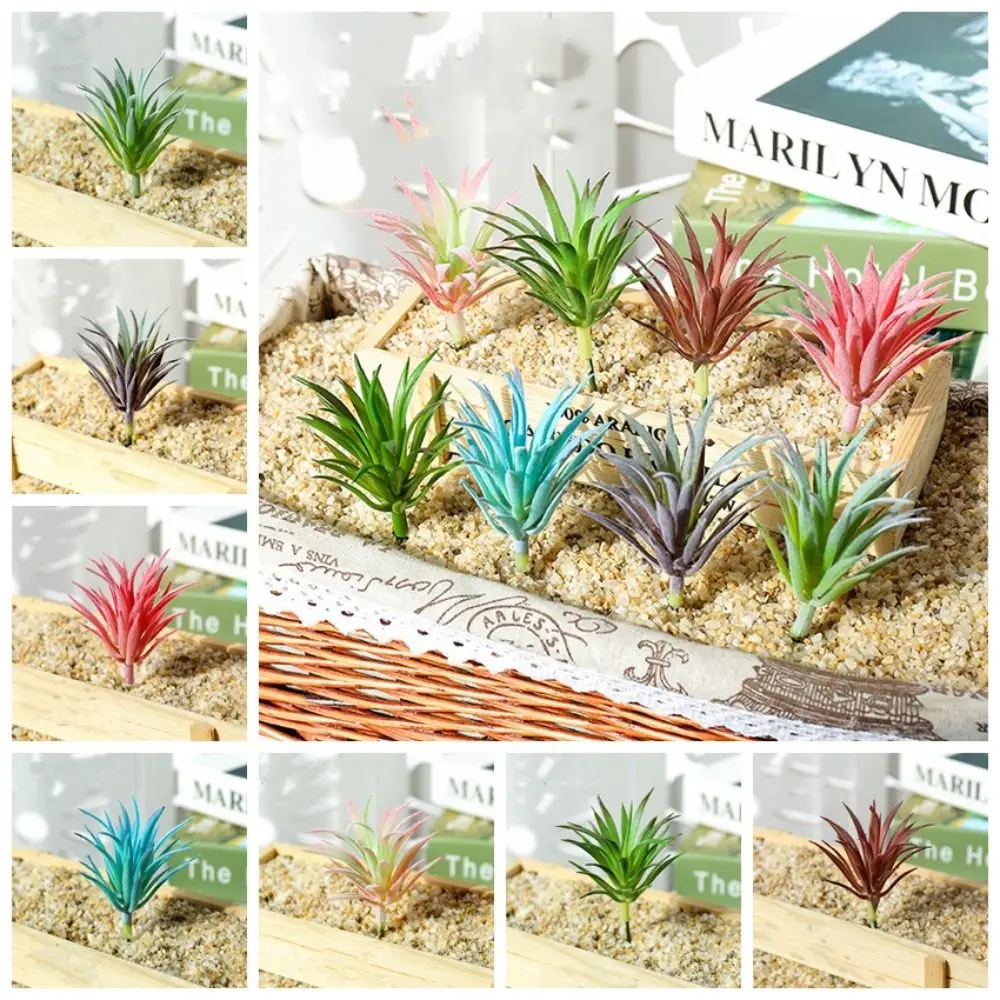 Photography Props PVC Artificial Succulents Plants Mini DIY Flocked Artificial Plants Realistic Fake Plants Balcony
Photography Props PVC Artificial Succulents Plants Mini DIY Flocked Artificial Plants Realistic Fake Plants Balcony