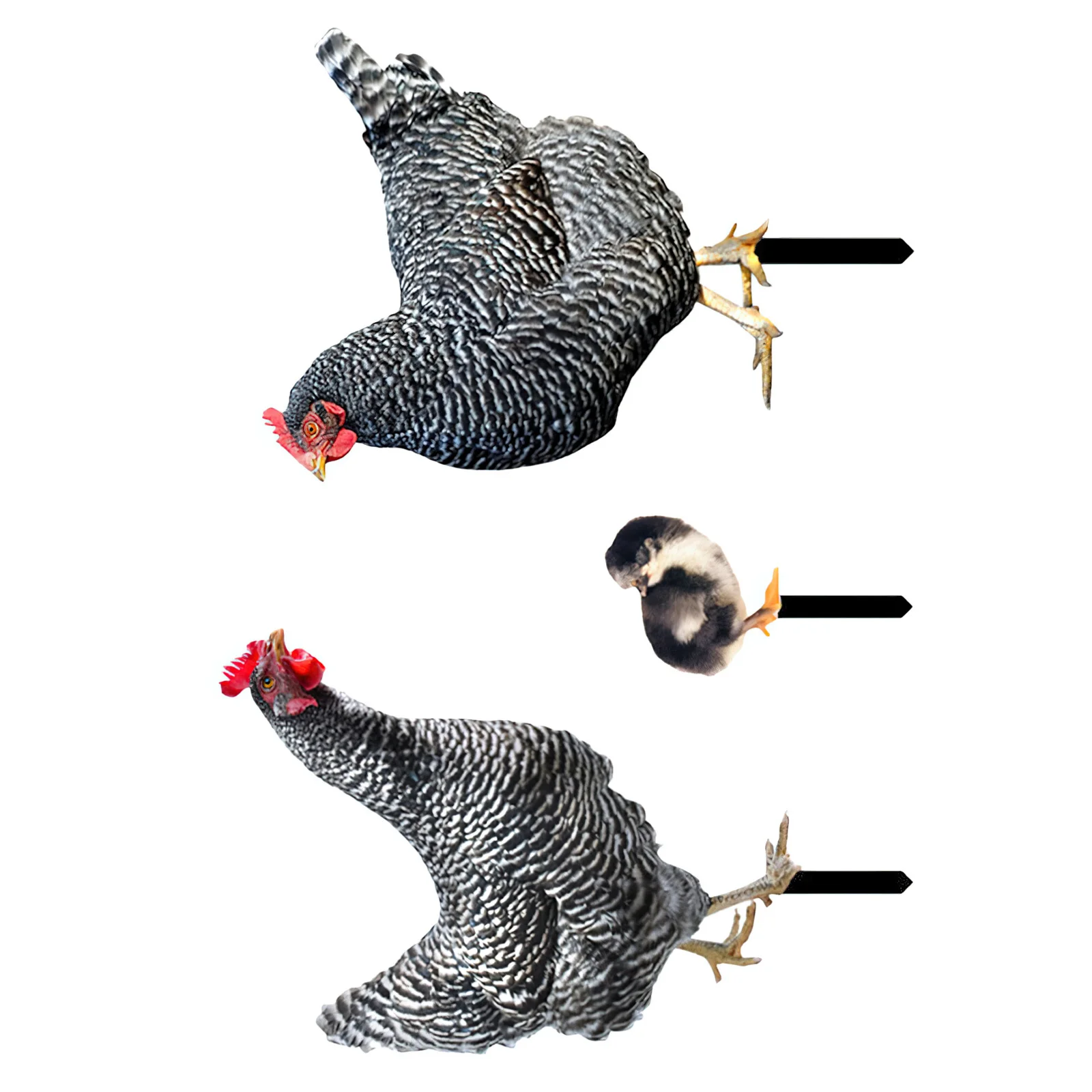 3Pcs Garden Decoration Chicken Yard Art Stake for Outdoor Lawn Ornament Rustic Farmhouse Style Decorative Hen Insert
3Pcs Garden Decoration Chicken Yard Art Stake for Outdoor Lawn Ornament Rustic Farmhouse Style Decorative Hen Insert