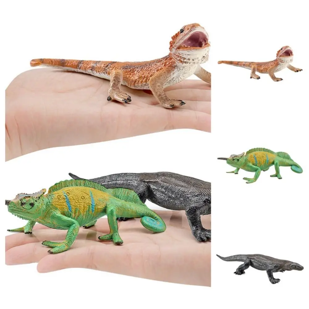 PVC Simulation Wild Reptile Model Handmad Statue Lizard Action Figures Crafts Ornament Reptile Amphibious Figurines
PVC Simulation Wild Reptile Model Handmad Statue Lizard Action Figures Crafts Ornament Reptile Amphibious Figurines
