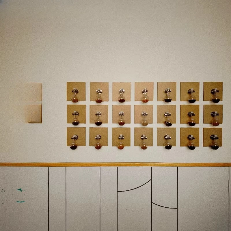 Kindergarten Plant Corner Seed Growth Museum Natural Corner Planting Area Huanchuang
Kindergarten Plant Corner Seed Growth Museum Natural Corner Planting Area Huanchuang