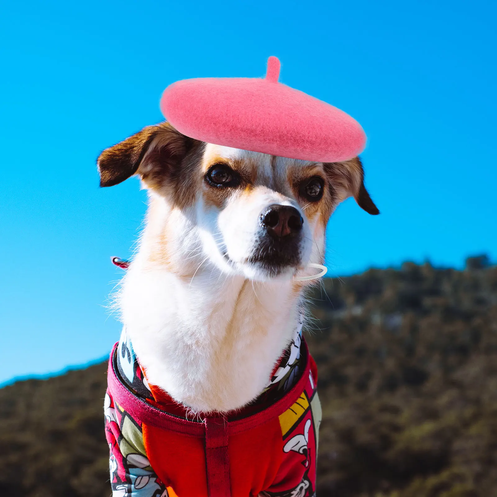 Pet Headwear 1 Unit Stylish Dog Cat Hat for Party Costume Breathable Lightweight Beret Pet Dress Up Accessory Dog Cat Hat
Pet Headwear 1 Unit Stylish Dog Cat Hat for Party Costume Breathable Lightweight Beret Pet Dress Up Accessory Dog Cat Hat