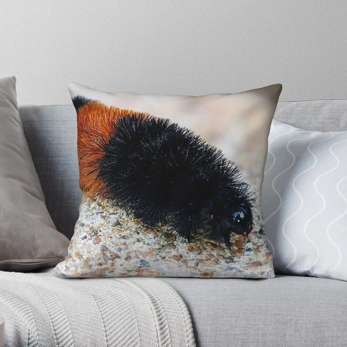 Woolly Bear Caterpillar Pillowcase Polyester Linen Velvet Creative Zip Decorative Pillow Case Car Cushion Cover 18"
Woolly Bear Caterpillar Pillowcase Polyester Linen Velvet Creative Zip Decorative Pillow Case Car Cushion Cover 18"