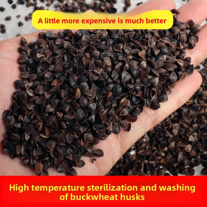 Premium Barley Hulls Pillow Bulk Ne Support Non-Waable Single Person Barley ell Pillow Filling Rectangular aped Bedding
Premium Barley Hulls Pillow Bulk Ne Support Non-Waable Single Person Barley ell Pillow Filling Rectangular aped Bedding
