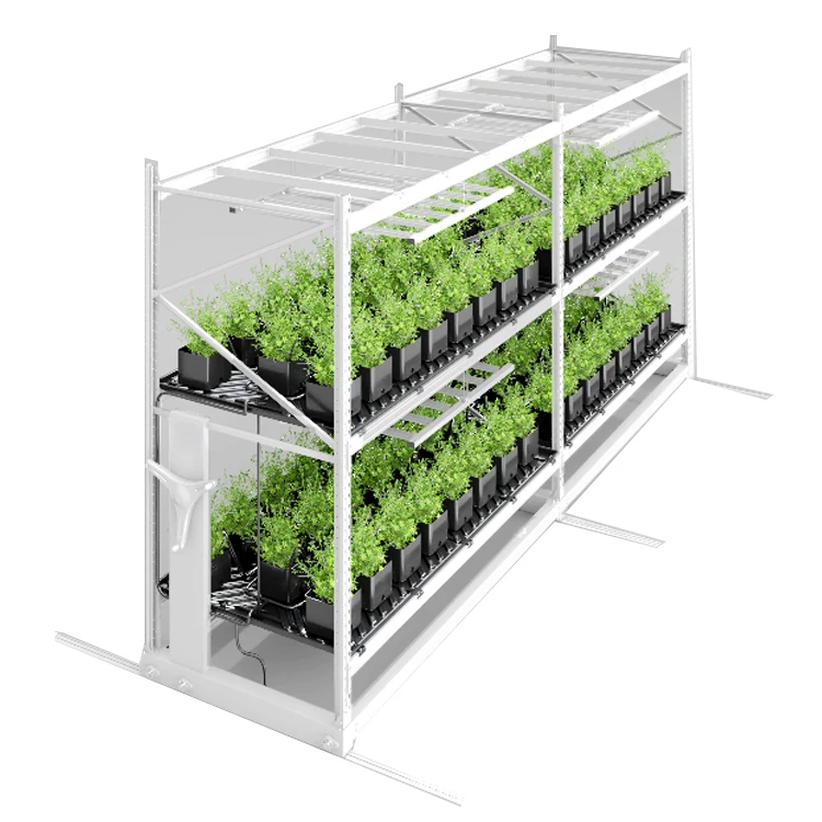 2025Microgreens Trays Growing System Vertical Hydroponic Growing Racks with Ventilation System
2025Microgreens Trays Growing System Vertical Hydroponic Growing Racks with Ventilation System
